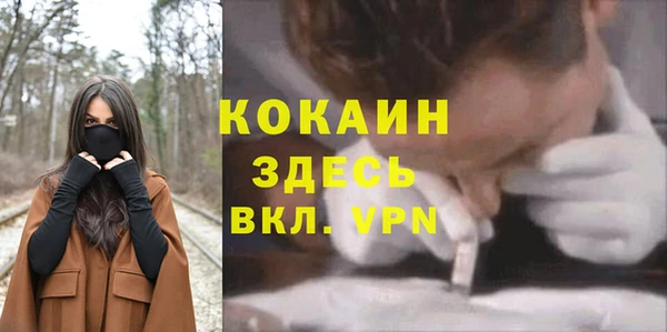 mdpv Белокуриха