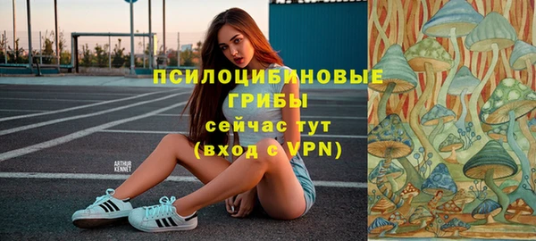 гашик Белоозёрский